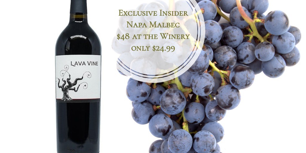 Lava Vine Malbec 2015 Wine Buy of the Day Rudy von Strasser