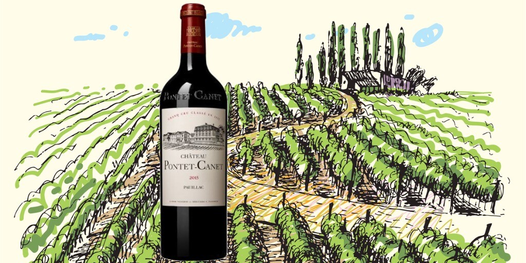 Chateau 2015 Wine Buy of the Day